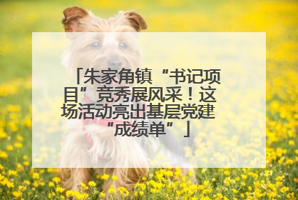 朱家角镇“书记项目”竞秀展风采！这场活动亮出基层党建“成绩单”
