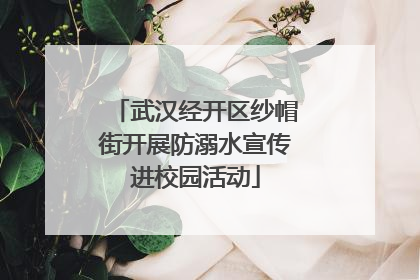 武汉经开区纱帽街开展防溺水宣传进校园活动