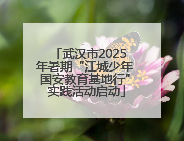 武汉市2025年暑期“江城少年国安教育基地行” 实践活动启动