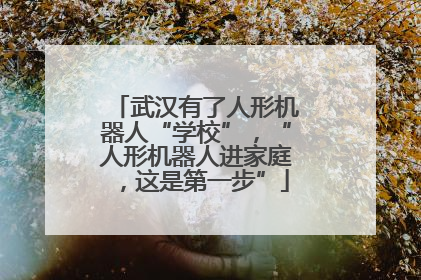 武汉有了人形机器人“学校”，“人形机器人进家庭，这是第一步”