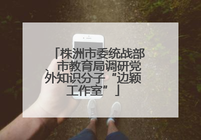 株洲市委统战部、市教育局调研党外知识分子“边颖工作室”