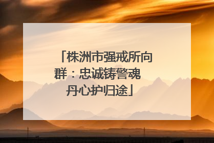 株洲市强戒所向群：忠诚铸警魂 丹心护归途