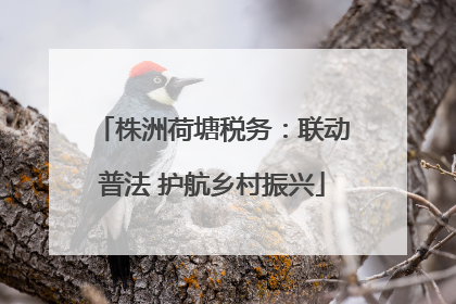 株洲荷塘税务：联动普法 护航乡村振兴