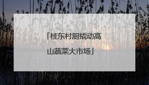 桂东村厨撬动高山蔬菜大市场