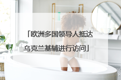 欧洲多国领导人抵达乌克兰基辅进行访问