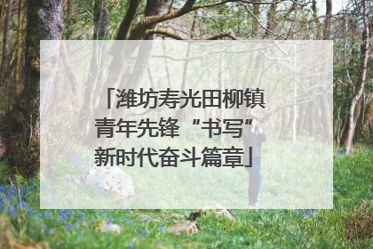 潍坊寿光田柳镇青年先锋“书写”新时代奋斗篇章