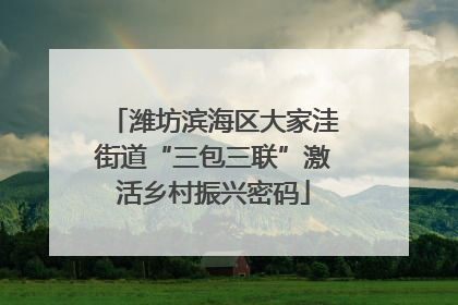 潍坊滨海区大家洼街道“三包三联”激活乡村振兴密码