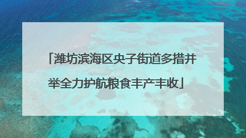 潍坊滨海区央子街道多措并举全力护航粮食丰产丰收
