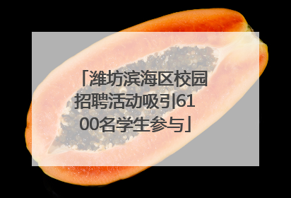 潍坊滨海区校园招聘活动吸引6100名学生参与