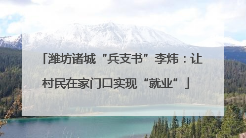 潍坊诸城“兵支书”李炜：让村民在家门口实现“就业”
