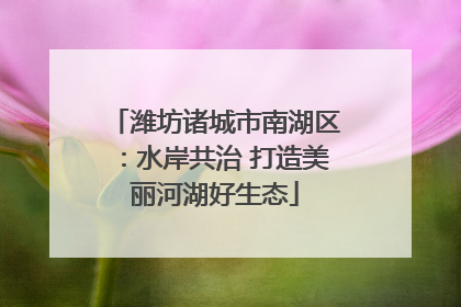 潍坊诸城市南湖区：水岸共治 打造美丽河湖好生态