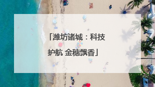 潍坊诸城：科技护航 金穗飘香