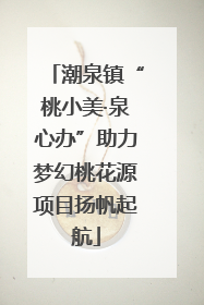 潮泉镇“桃小美·泉心办”助力梦幻桃花源项目扬帆起航