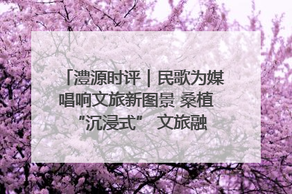 澧源时评｜民歌为媒唱响文旅新图景 桑植 “沉浸式” 文旅融合的破圈启示