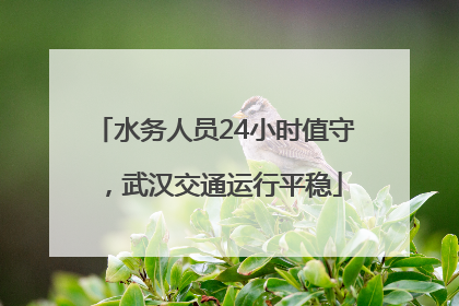 水务人员24小时值守，武汉交通运行平稳