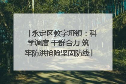 永定区教字垭镇：科学调度 干群合力 筑牢防洪抢险坚固防线
