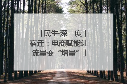 民生·深一度丨宿迁：电商赋能让流量变“增量”
