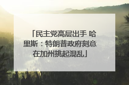 民主党高层出手 哈里斯：特朗普政府刻意在加州挑起混乱