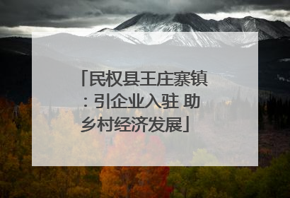 民权县王庄寨镇：引企业入驻 助乡村经济发展