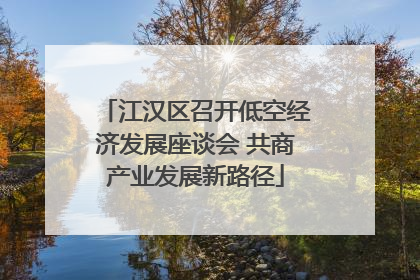 江汉区召开低空经济发展座谈会 共商产业发展新路径