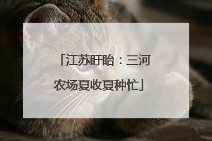江苏盱眙：三河农场夏收夏种忙