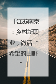 江苏南京：乡村新职业，激活“希望的田野”