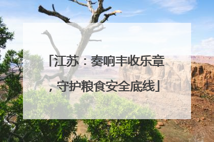 江苏：奏响丰收乐章，守护粮食安全底线