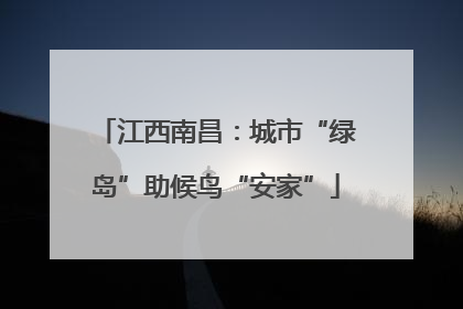 江西南昌：城市“绿岛”助候鸟“安家”