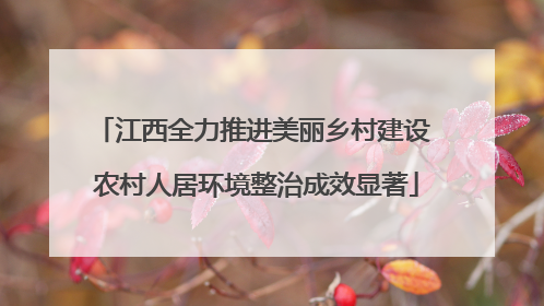 江西全力推进美丽乡村建设 农村人居环境整治成效显著
