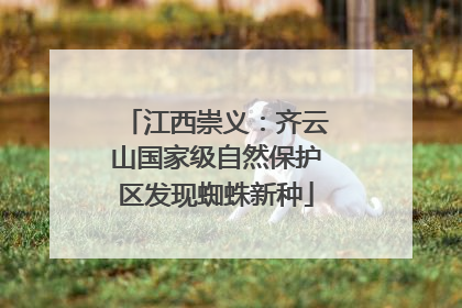 江西崇义：齐云山国家级自然保护区发现蜘蛛新种