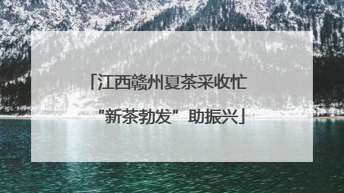 江西赣州夏茶采收忙 “新茶勃发”助振兴