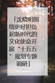 沈晓明围绕更好担负起新时代的文化使命开展“十五五”规划专题调研