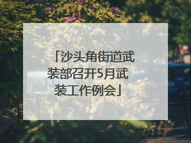 沙头角街道武装部召开5月武装工作例会