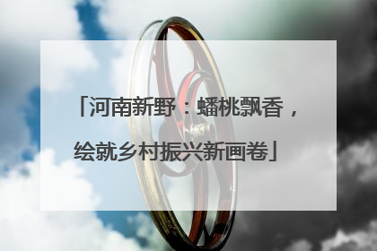 河南新野：蟠桃飘香，绘就乡村振兴新画卷