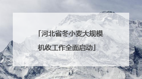 河北省冬小麦大规模机收工作全面启动