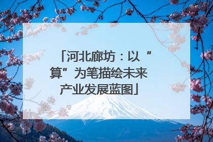 河北廊坊：以“算”为笔描绘未来产业发展蓝图