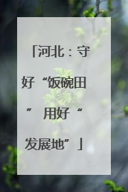 河北：守好“饭碗田” 用好“发展地”