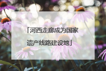 河西走廊成为国家遗产线路建设地