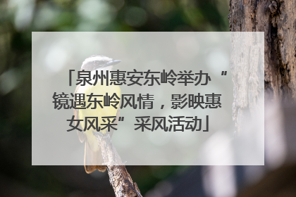 泉州惠安东岭举办“镜遇东岭风情，影映惠女风采”采风活动