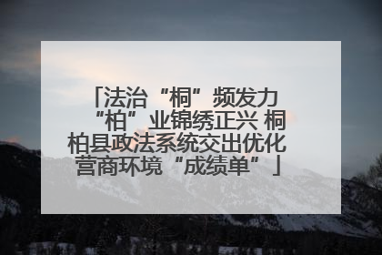 法治“桐”频发力 “柏”业锦绣正兴 桐柏县政法系统交出优化营商环境“成绩单”