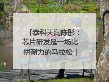 泰科天润陈彤：芯片研发是一场比拼耐力的马拉松｜湘商，向上⑤