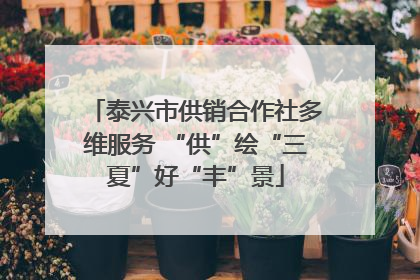 泰兴市供销合作社多维服务 “供”绘“三夏”好“丰”景