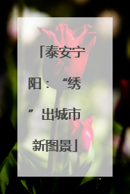 泰安宁阳：“绣”出城市新图景