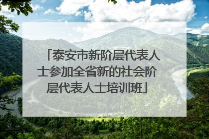 泰安市新阶层代表人士参加全省新的社会阶层代表人士培训班
