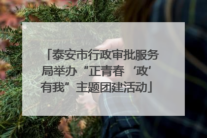 泰安市行政审批服务局举办“正青春‘政’有我”主题团建活动
