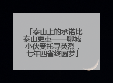 泰山上的承诺比泰山更重——聊城小伙受托寻英烈，七年四省终圆梦