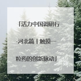 活力中国调研行·河北篇丨触摸一粒药的创新脉动