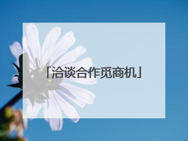 洽谈合作觅商机