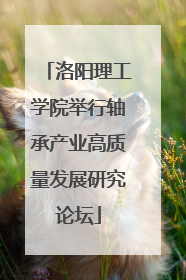 洛阳理工学院举行轴承产业高质量发展研究论坛