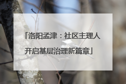洛阳孟津：社区主理人开启基层治理新篇章